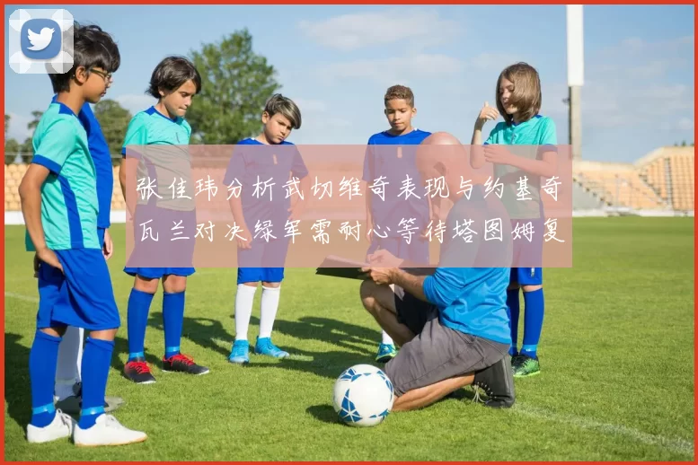 张佳玮分析武切维奇表现与约基奇瓦兰对决绿军需耐心等待塔图姆复出